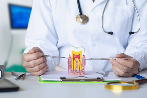 Best Emergency Root Canal Therapy in Humboldt, KS